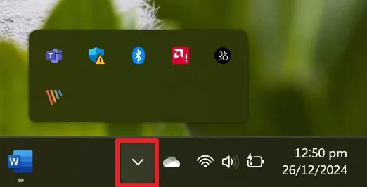 choose show hidden icon 