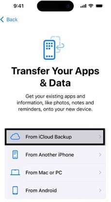 select from icloud backup