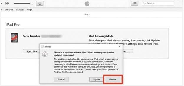 restore ipad in itunes