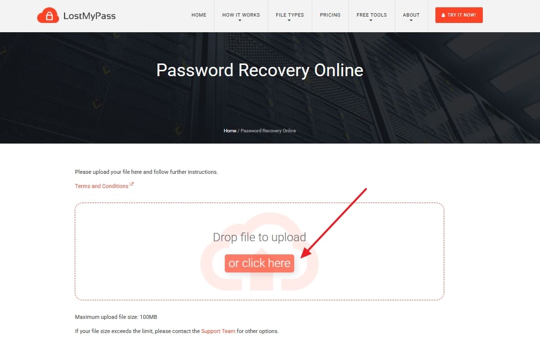 drop protected file on lostmypass