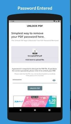 enter pdf password