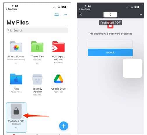 open protected file