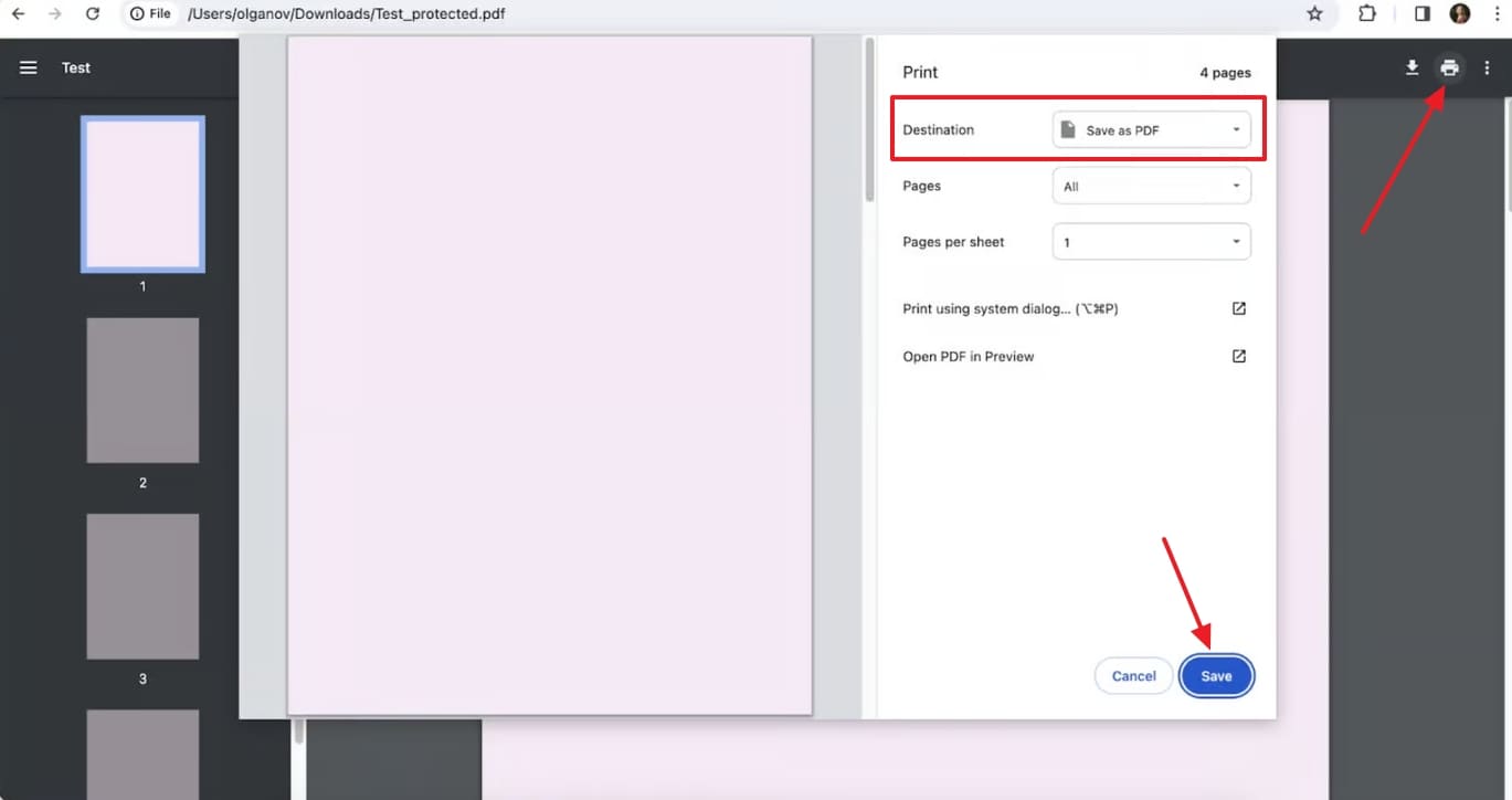 print and save file from chrome