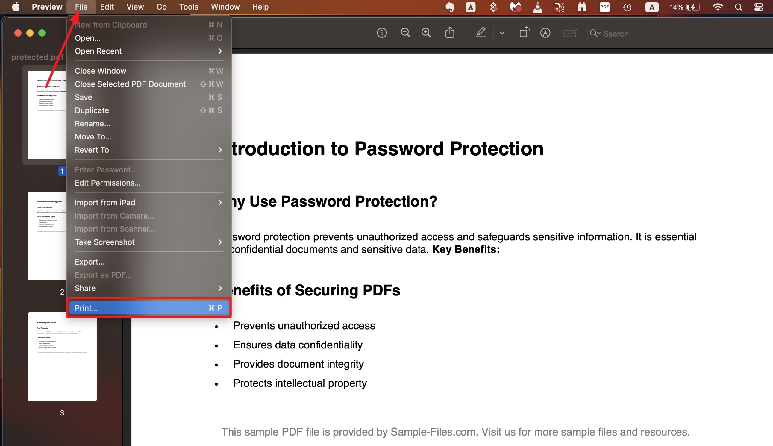 access print from preview file menu 