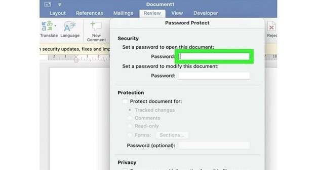protect a word document with a password