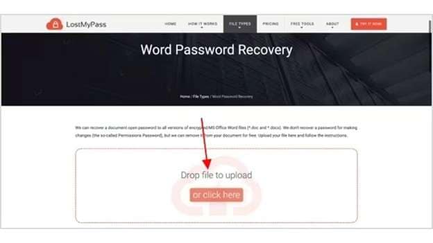 upload word document to lostmypass