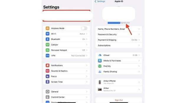 find apple id password on settings