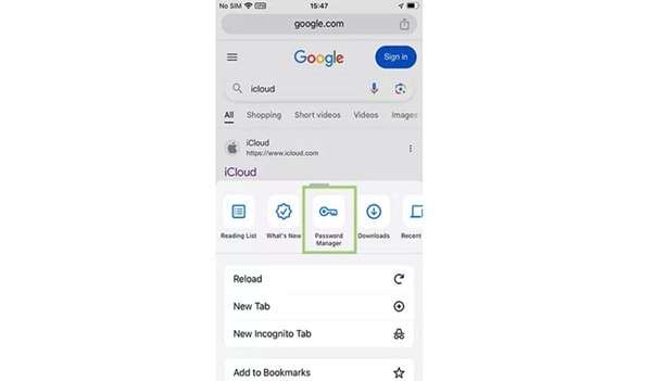 check password in chrome