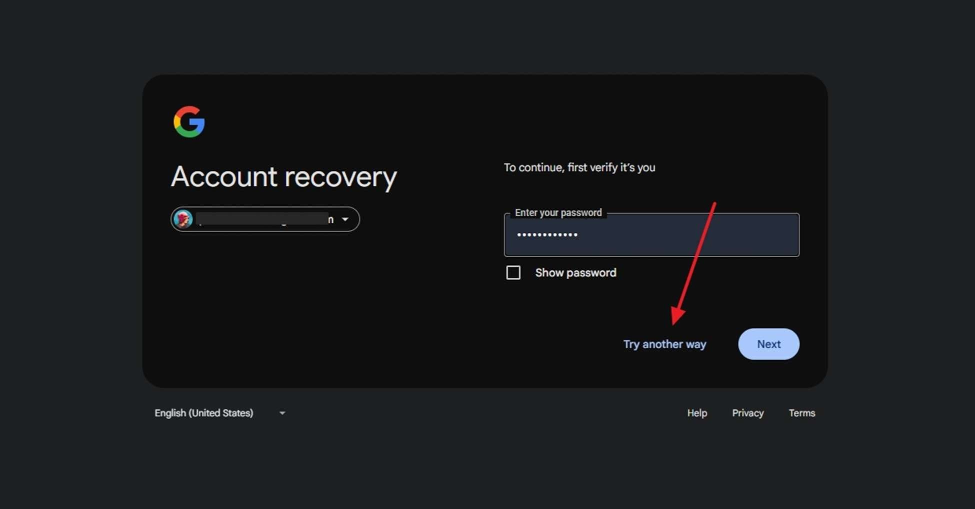 enter password and try another way