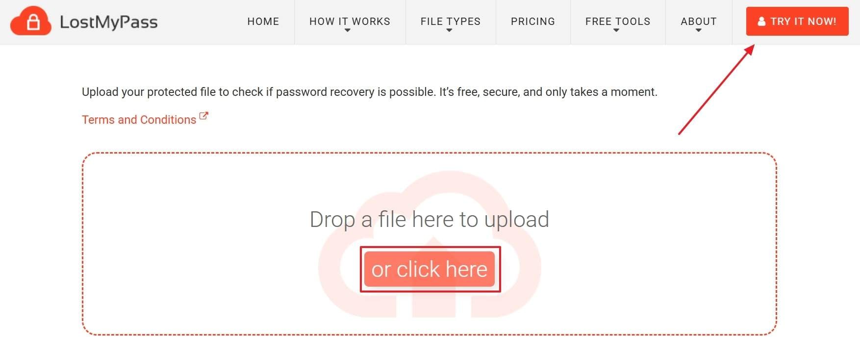 drop file at lostmypass