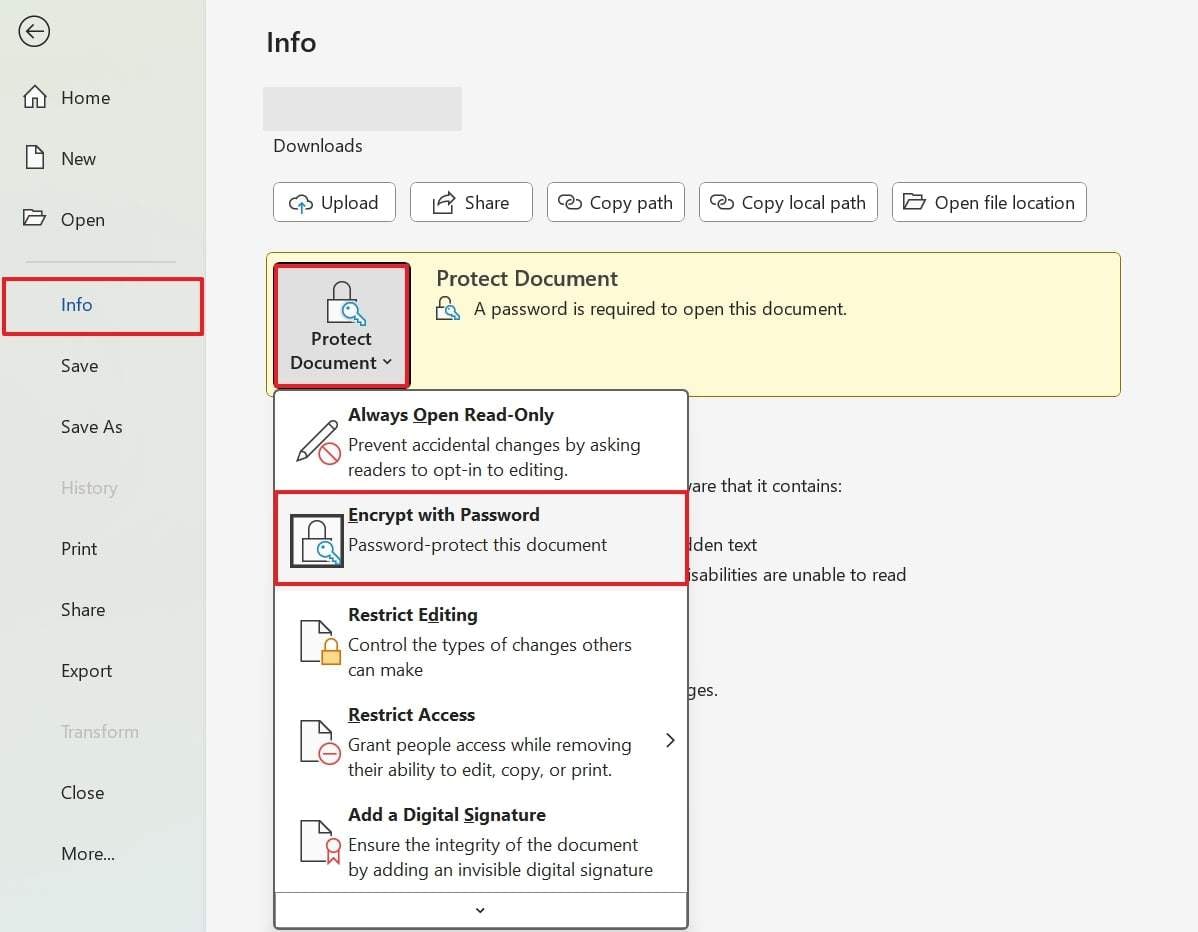choose encrypt with password option