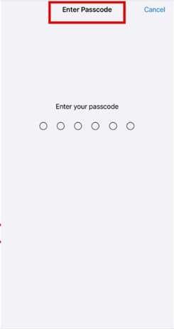 enter your passcode
