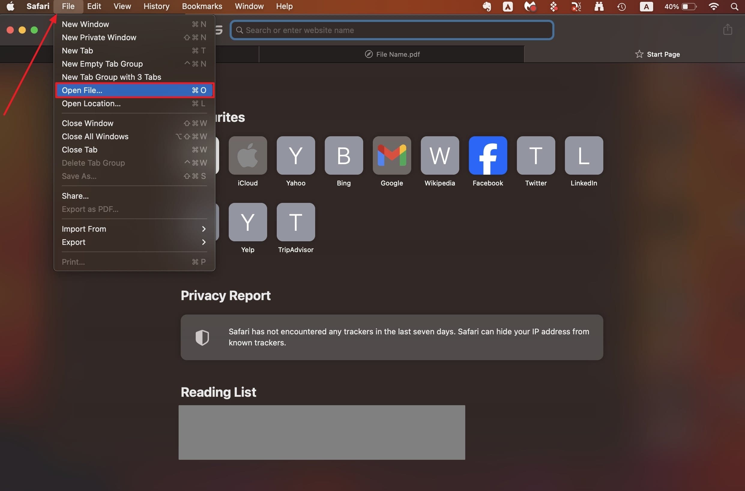 open file in browser