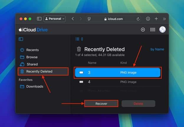 recently deleted files