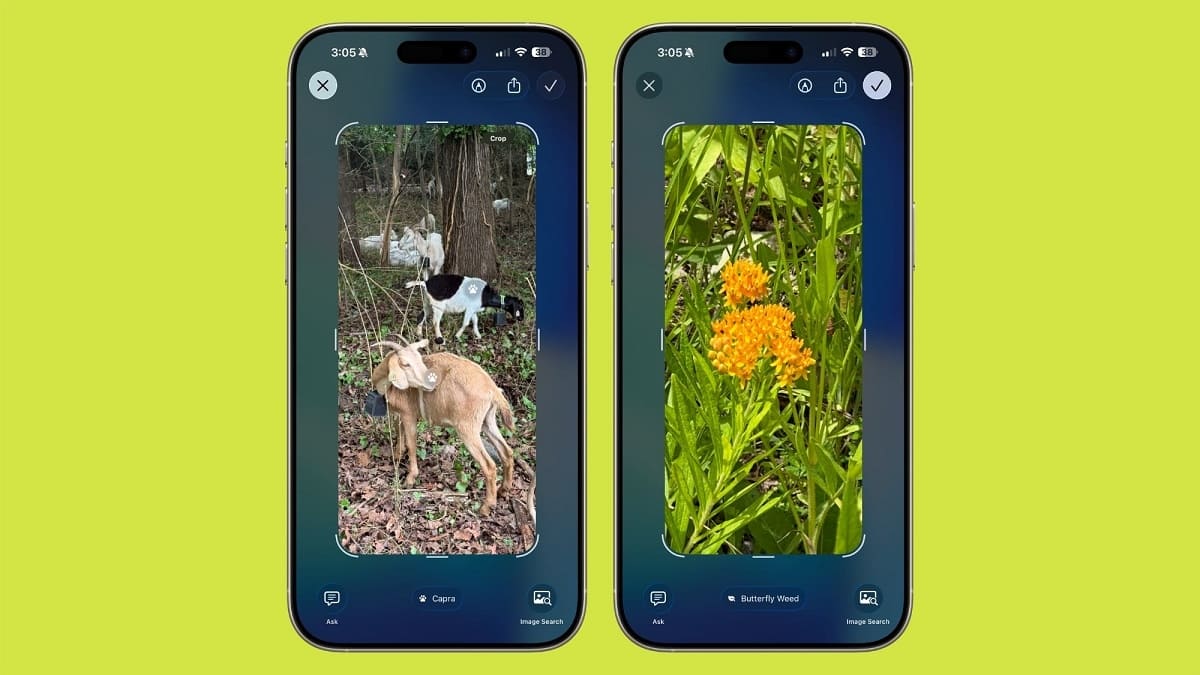 ios 26 object identification feature 