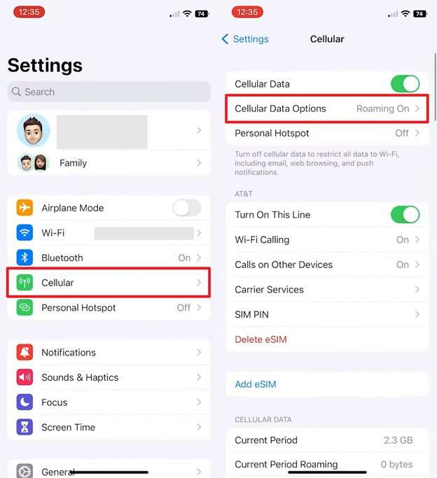 access cellular data options
