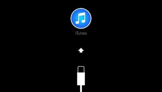connect iPhone with iTunes