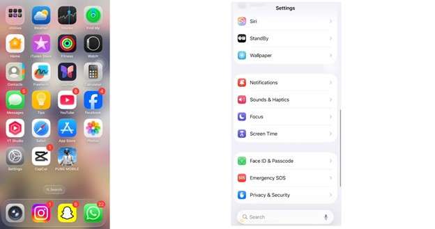 click face id & passcode option in settings