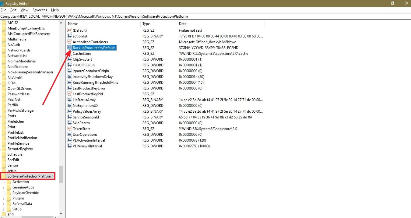 access BackupProductKeyDefault in registry