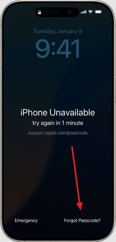 pick forget password option
