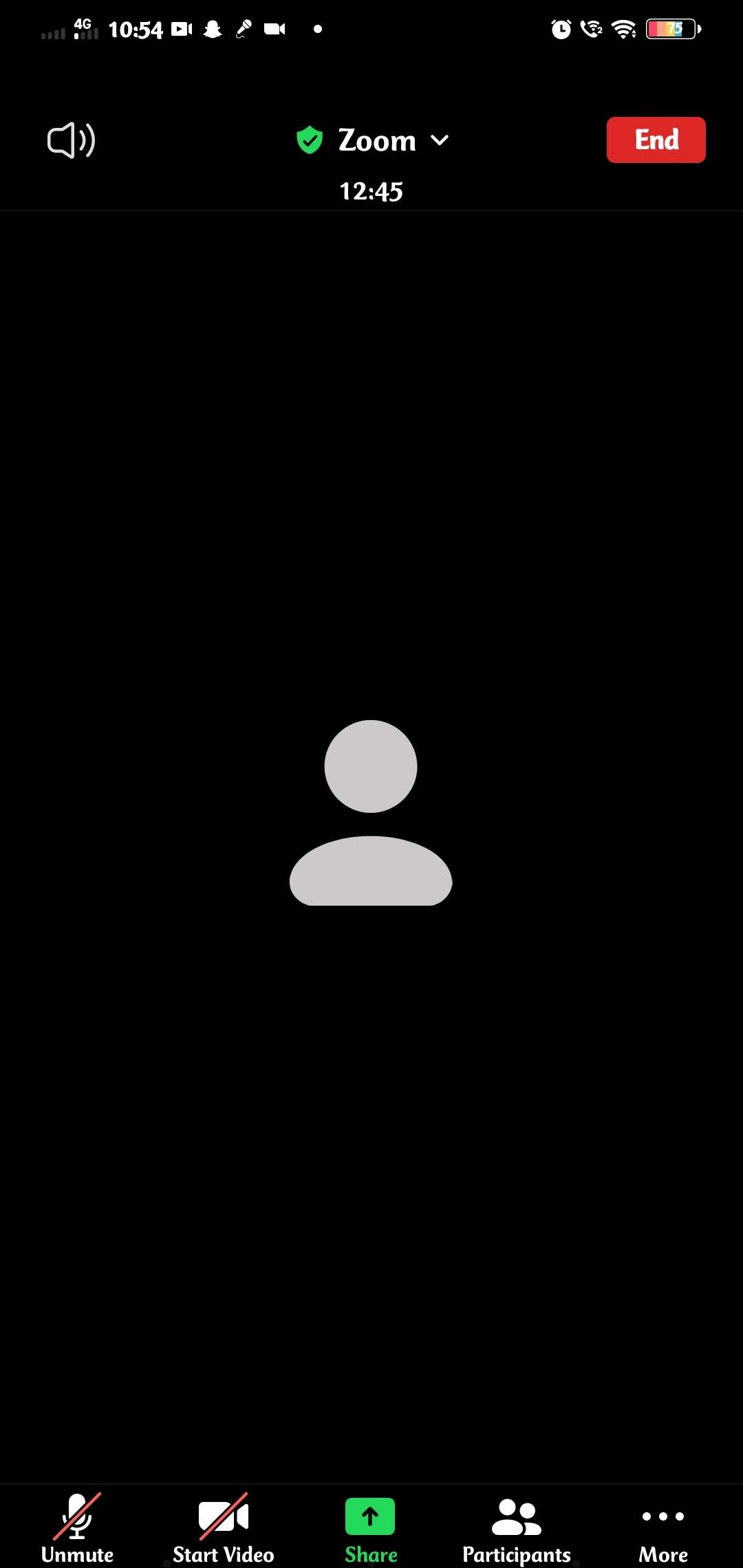 select share screen