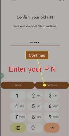press continue to change PIN