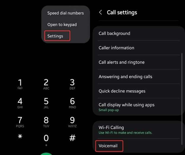 access voice on samsung phone