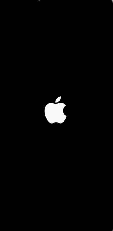 apple logo appears