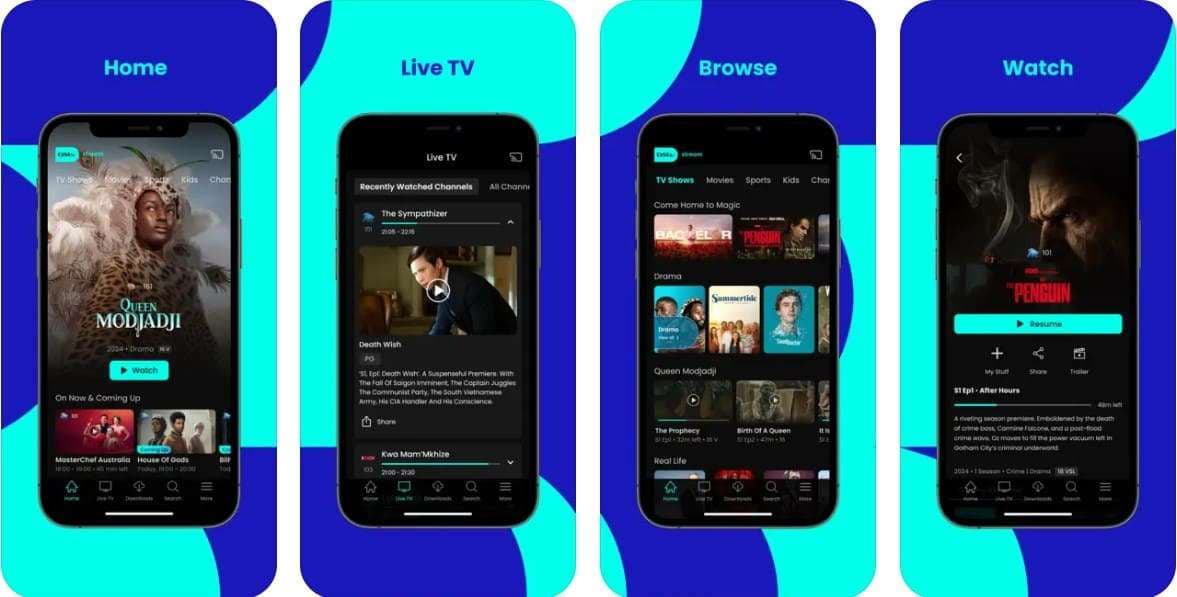 dstv live football tv app