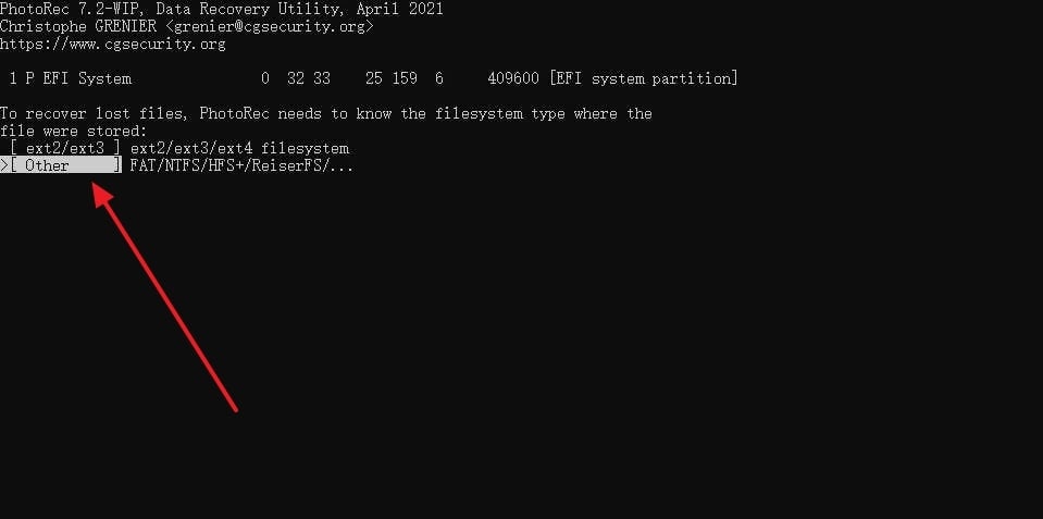 select file format