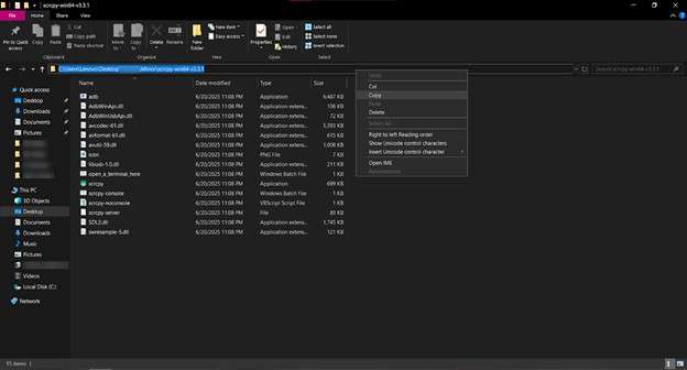 copy file path