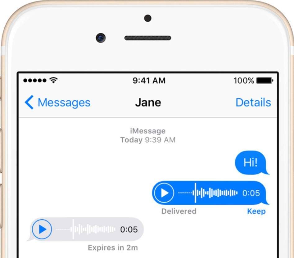 why do audio messages disappear