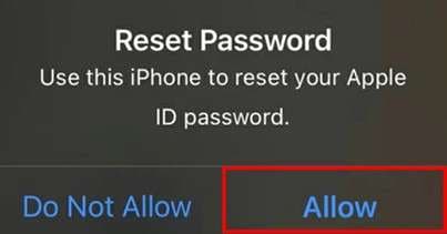 allow to reset the password