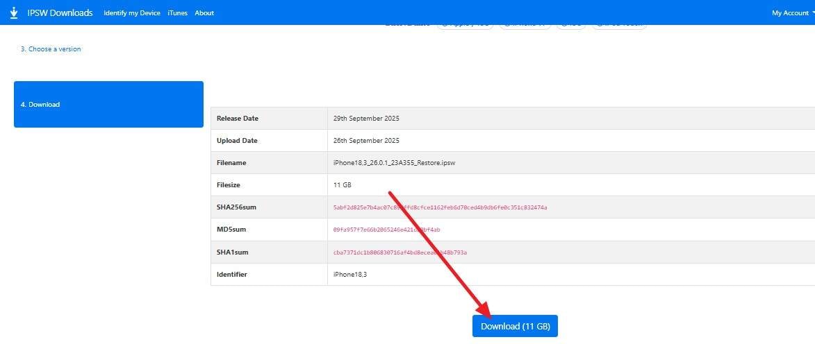download the ipsw file