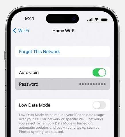 check your internet connection