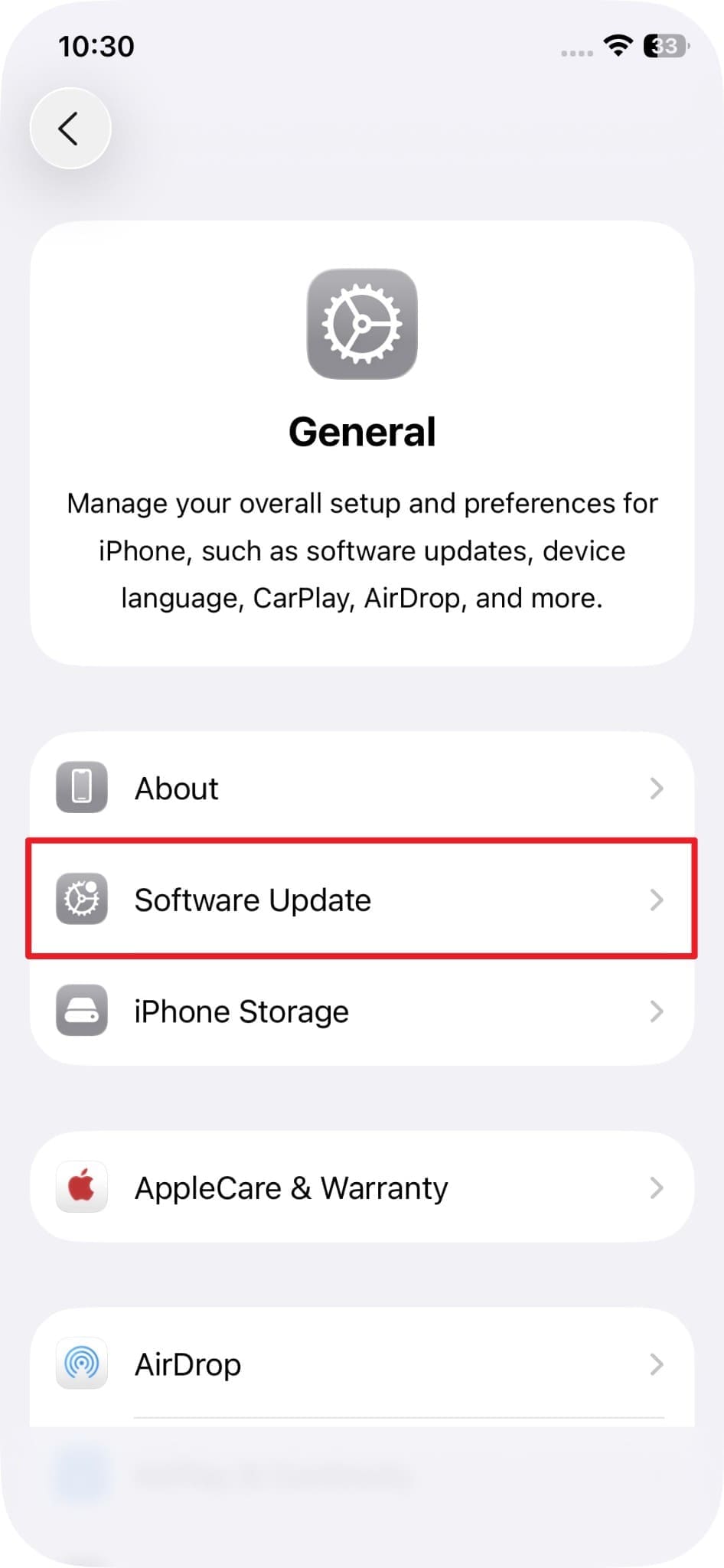 choose software update