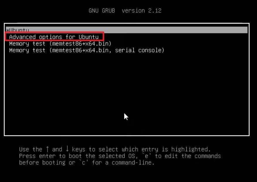 choose advanced option for ubuntu