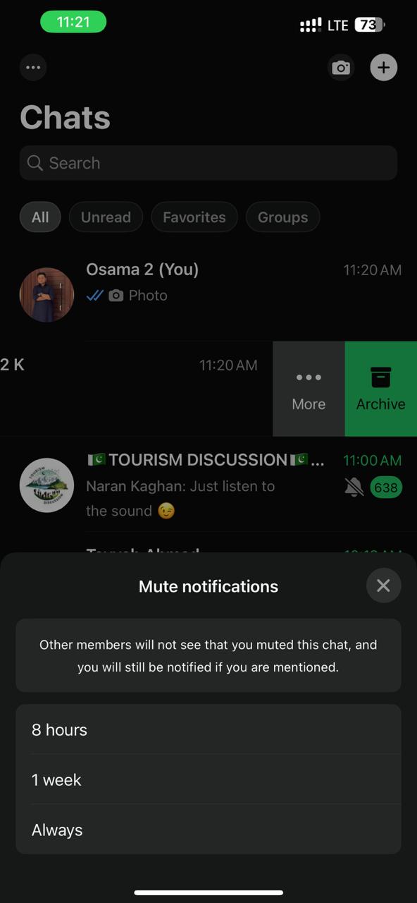 how can i appear offline on whatsapp while online