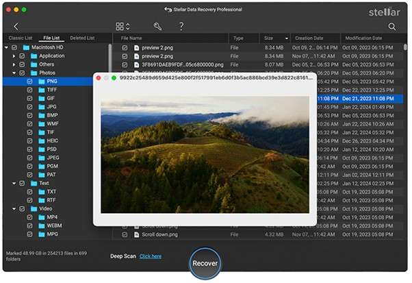 stellar data recovery interface