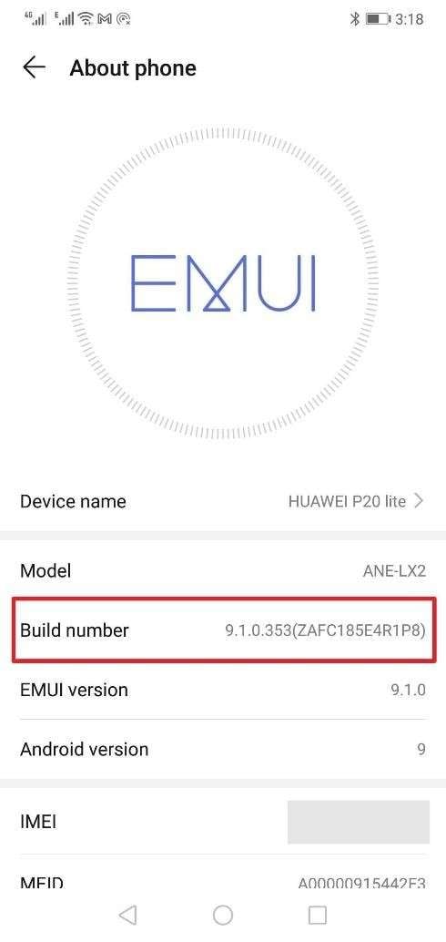enable the developer option
