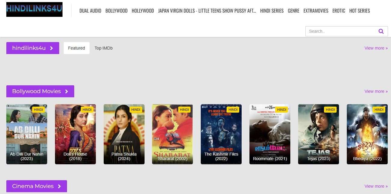 what is hindilinks4u net