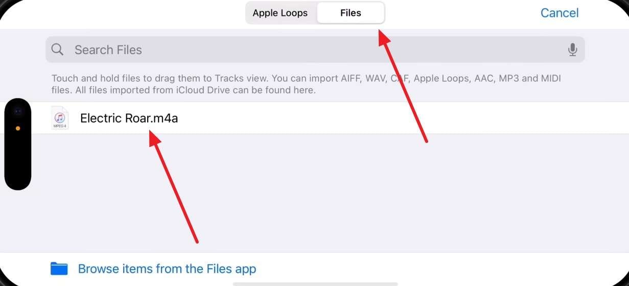 choose audio to import