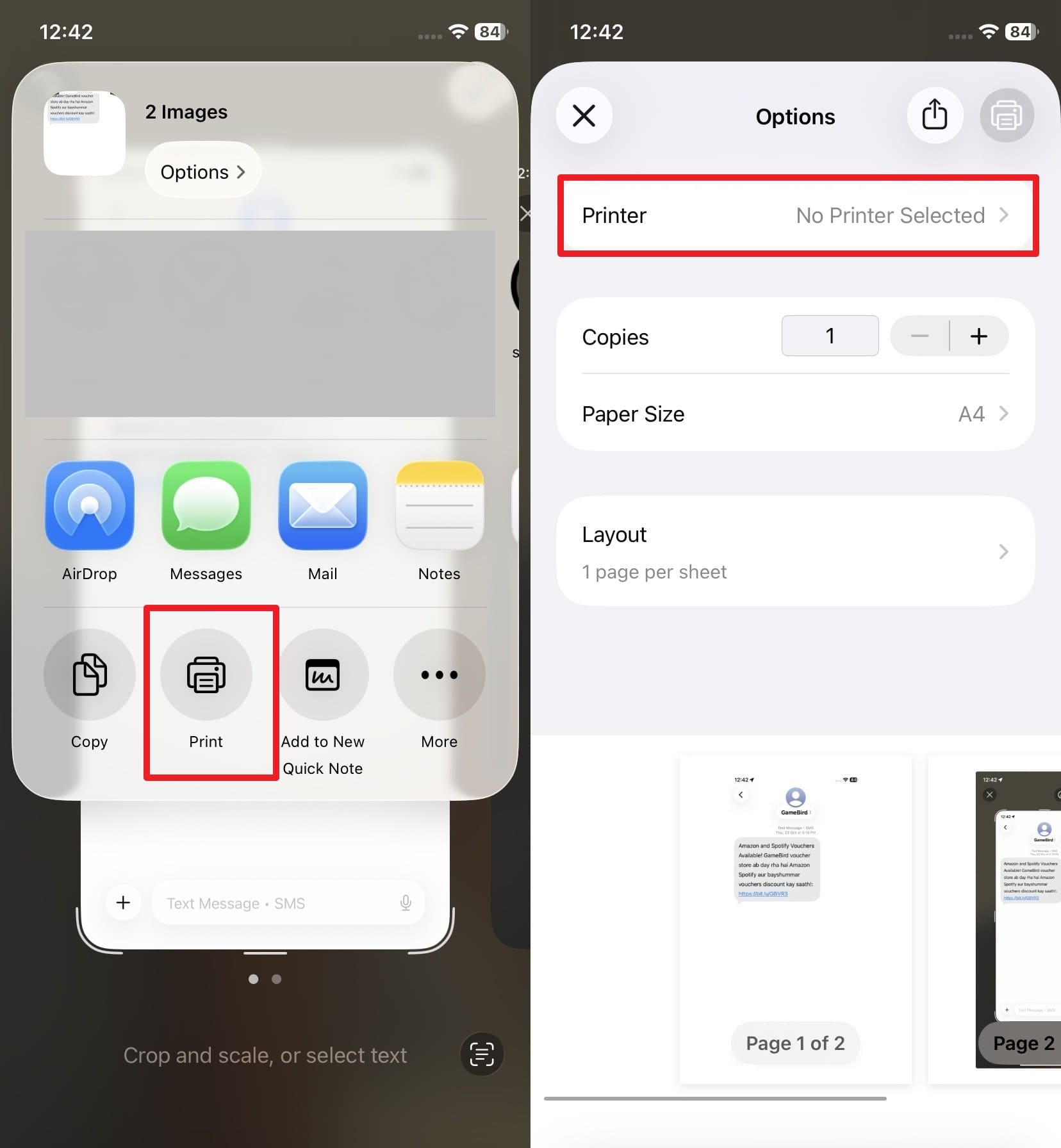 choose to print the screenshot