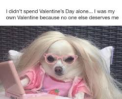 valentines day funny memes single life