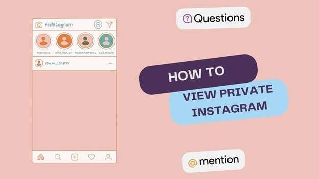 how to view private instagram