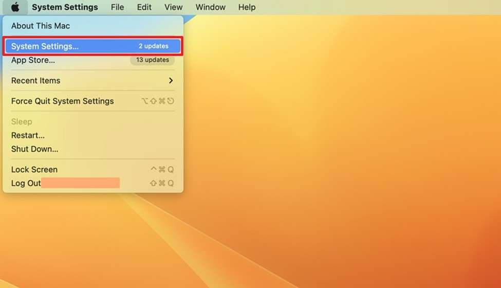 access mac system settings