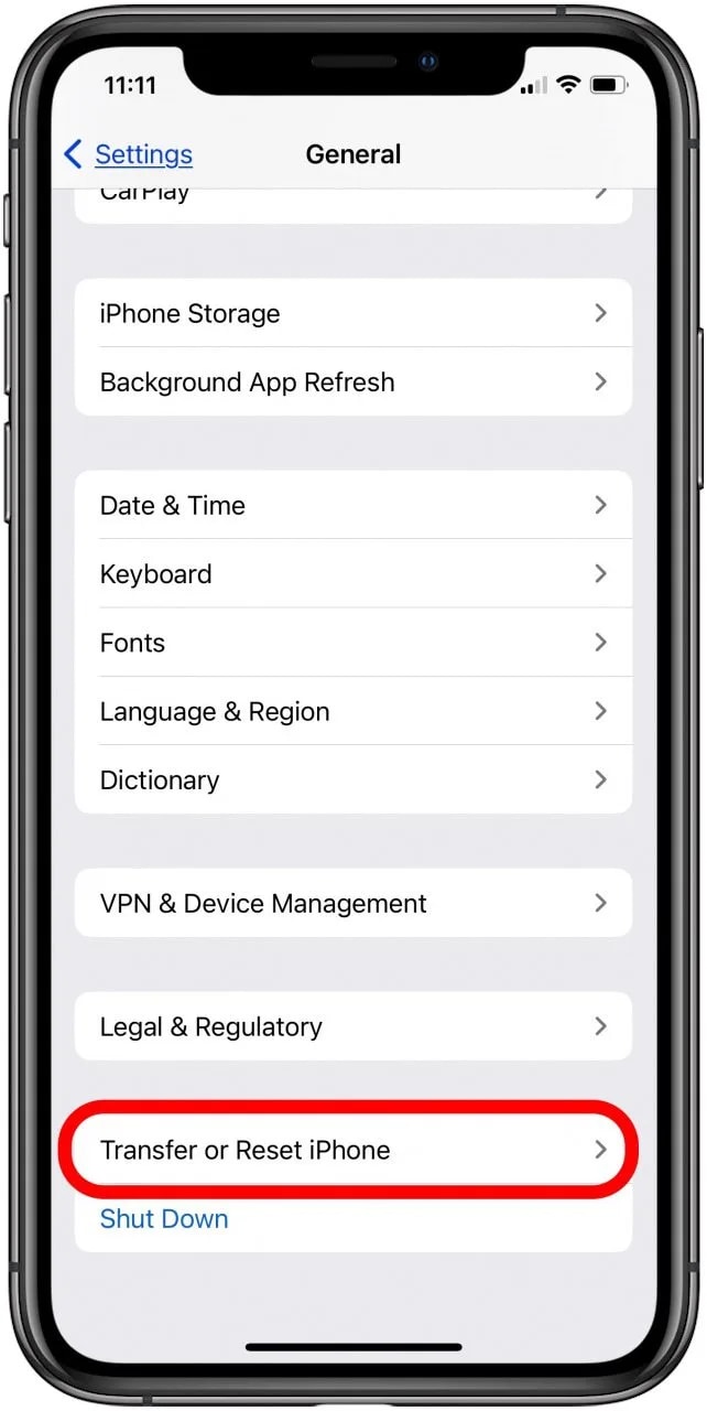 apps & data screen on iphone