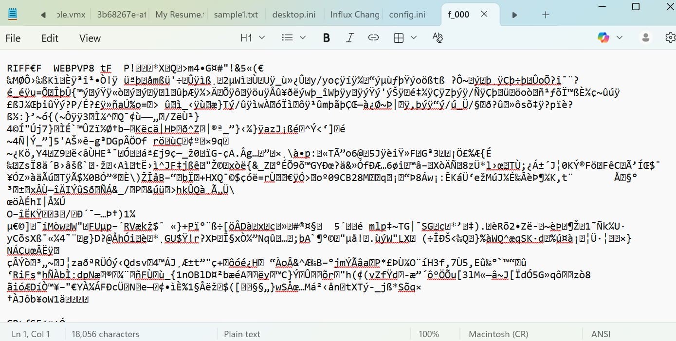 review the cache file