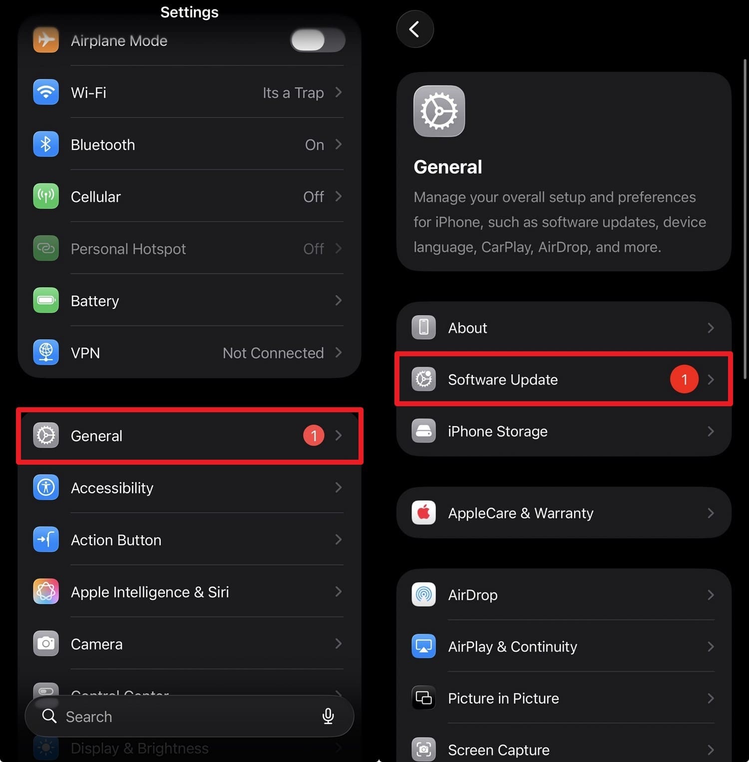 choose software update option