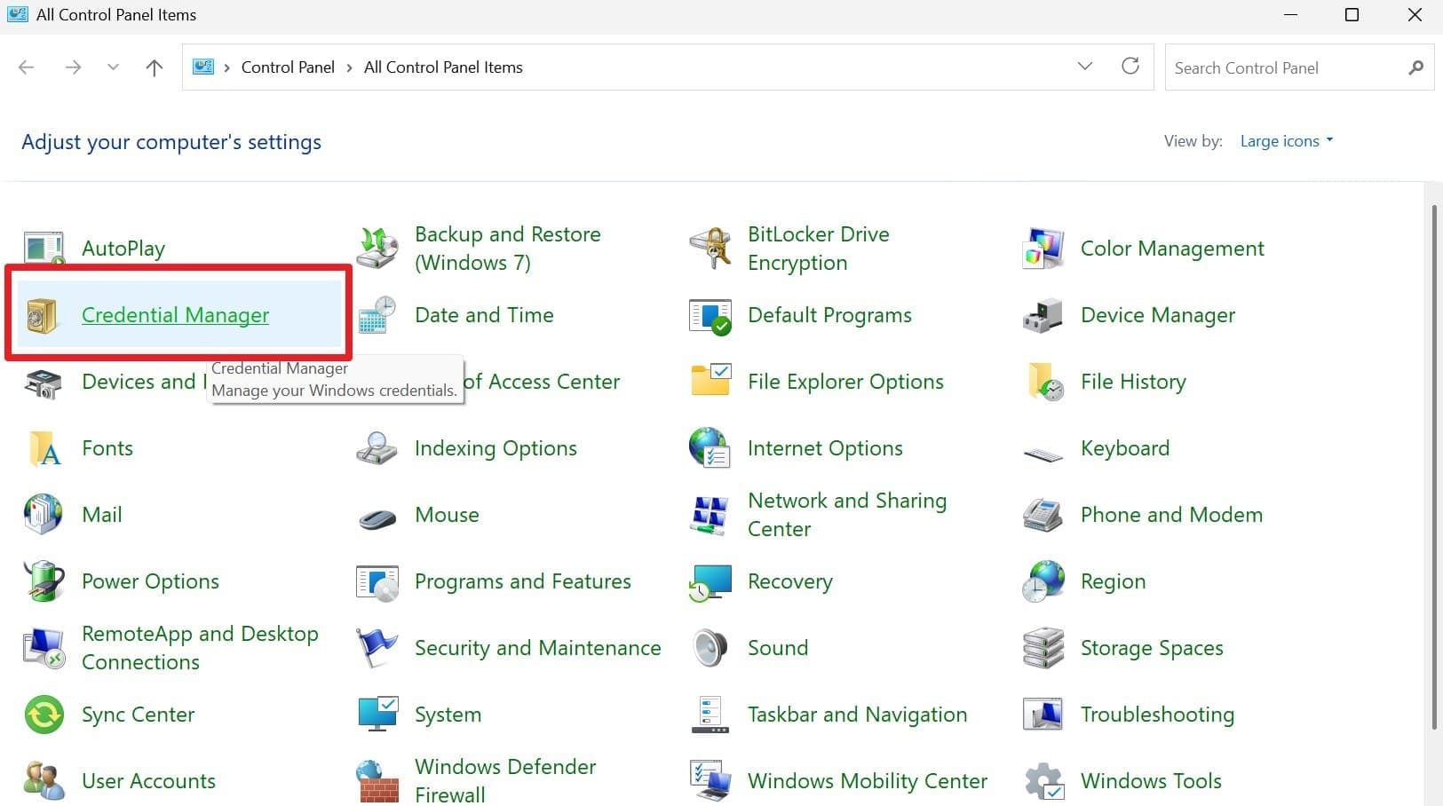 choose credential manager